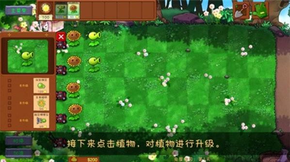 植物大战僵尸共生版2.0截图1