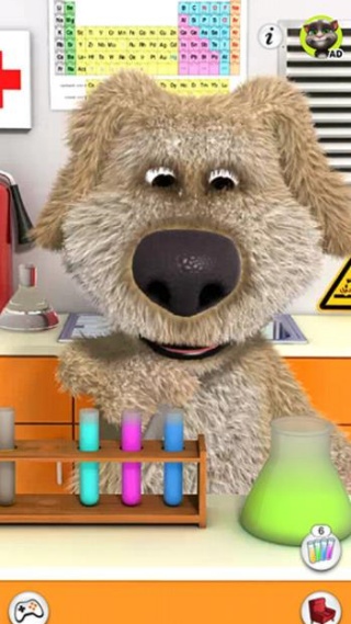 会说话的狗狗本