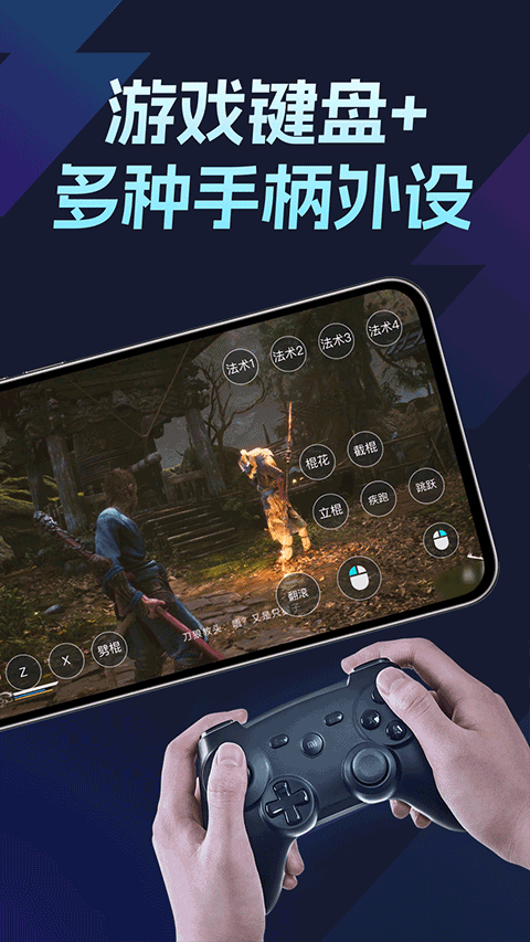 Todesk云电脑截图3