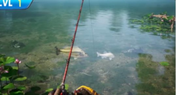 欢乐钓鱼大师正版