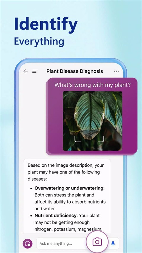 必应搜索引擎截图1