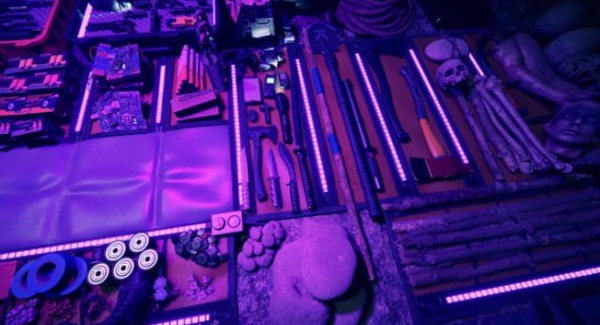 森林之子手机版