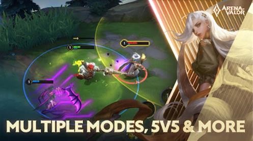 传说对决国际服截图0