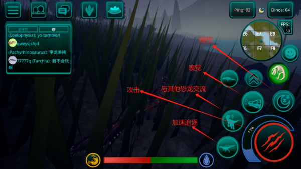 诅咒之岛国际服