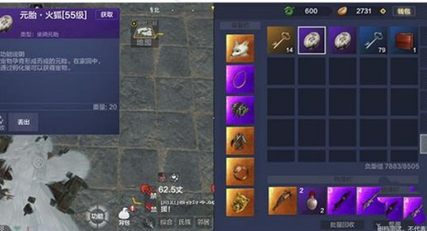 妄想山海云游戏