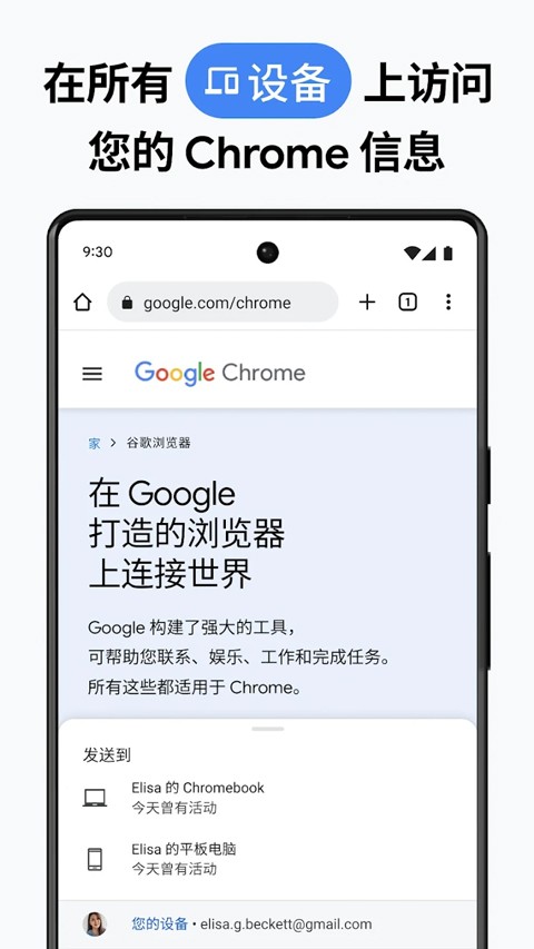 Google浏览器截图1