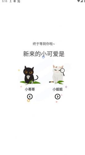 喵趣漫画(喵上复活)