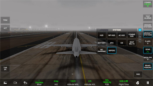 RFS模拟飞行截图2
