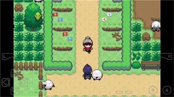 精灵宝可梦剑盾