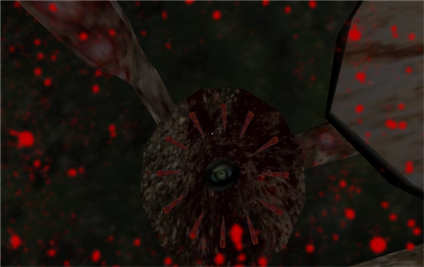 恐怖奶奶联机版截图1