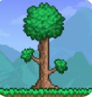 泰拉瑞亚中文版