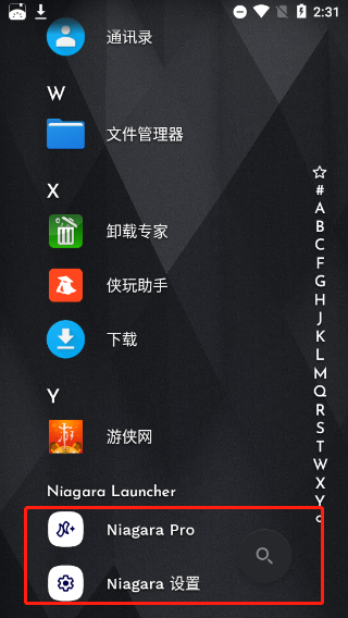 Niagara Launcher