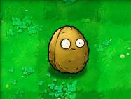 植物大战僵尸95版