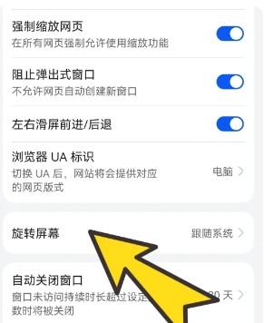 波波浏览器蓝色版