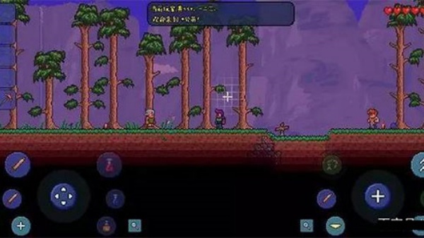 泰拉瑞亚全物品存档版