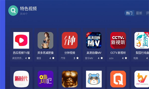 沙发管家比亚迪车机版