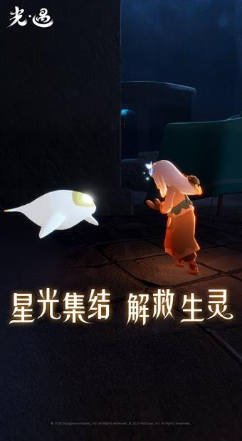 Sky光遇白鸟全物品版截图2