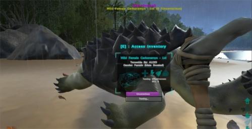 方舟生存进化上帝模式