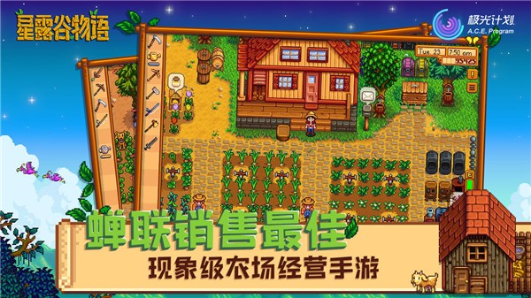 Stardew valley手机版截图1
