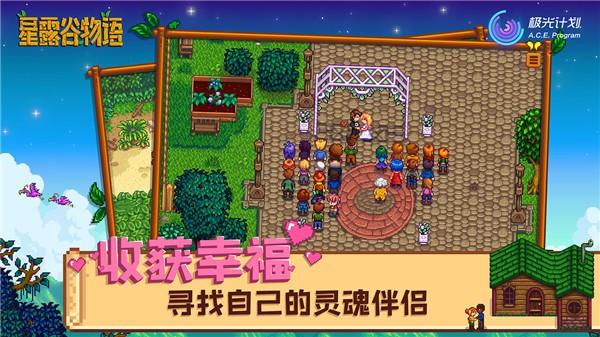 Stardew valley手机版截图3