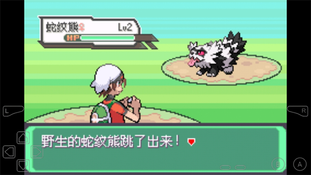 口袋妖怪究极绿宝石5.5截图1