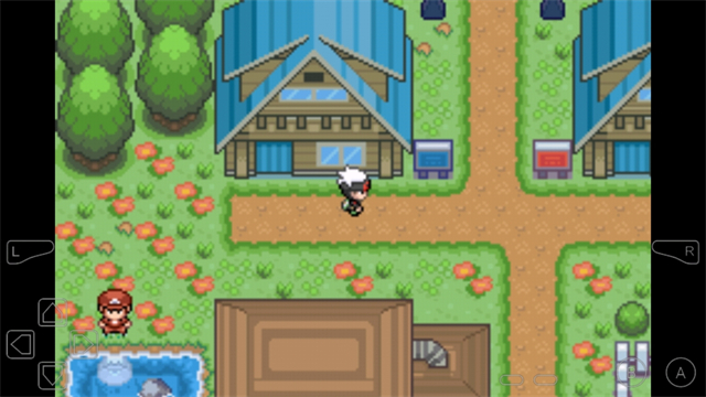 口袋妖怪究极绿宝石5.5截图2