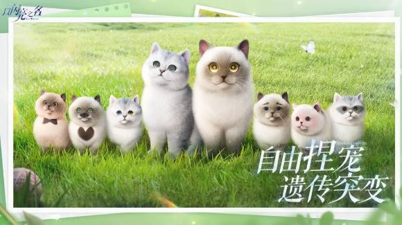 以闪亮之名手游国服截图3