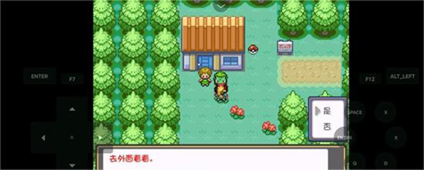 口袋妖怪燃之智3.4版