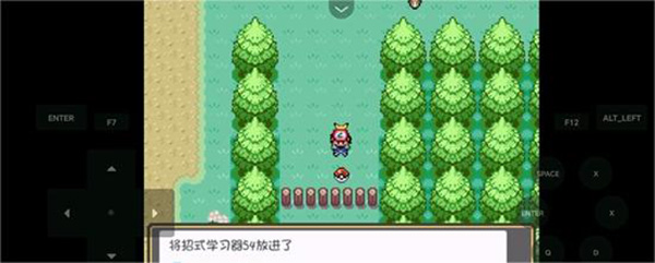 口袋妖怪燃之智3.4版