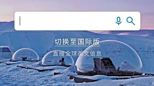 Kiwi browser浏览器