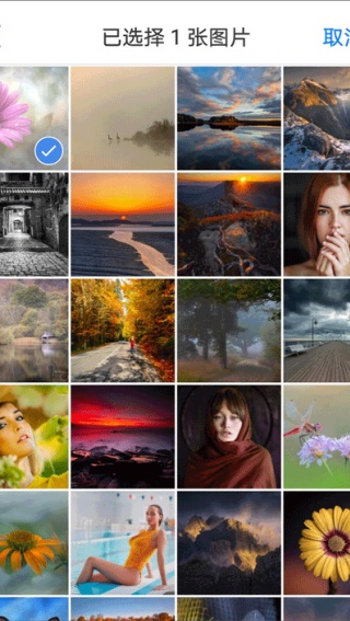 Alook浏览器旧版本