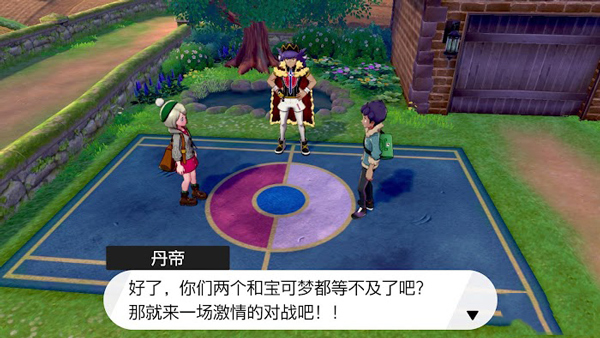 精灵宝可梦剑盾中文版