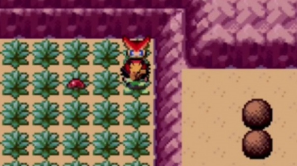 口袋妖怪燃之智5.0