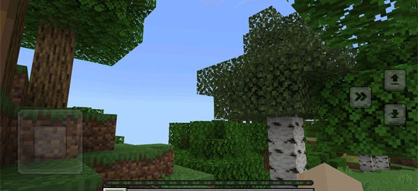 我的世界1.21正式版