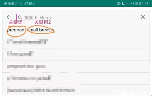 Ehviewer绿色版1.9.4.0