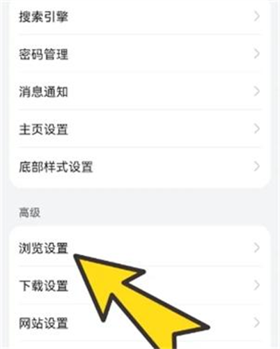 BOBO浏览器海外版