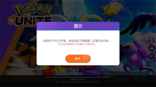 宝可梦大集结国际服