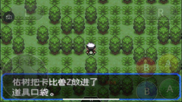 口袋妖怪叶绿386