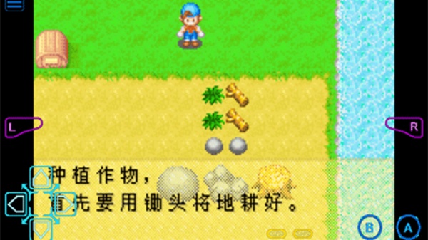 牧场物语男孩版