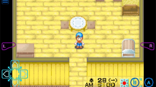 牧场物语男孩版