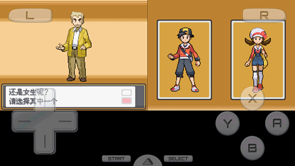 口袋妖怪心金银魂