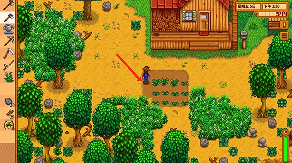 星露谷1.6.9手机版