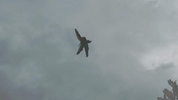 致命公司多人联机版