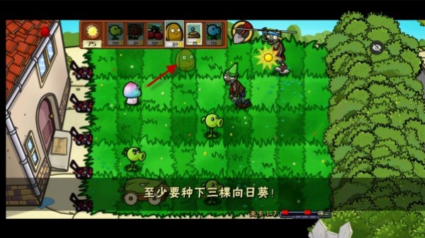 植物大战僵尸噩梦最新版