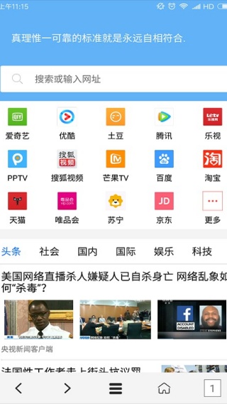 vip浏览器最新版