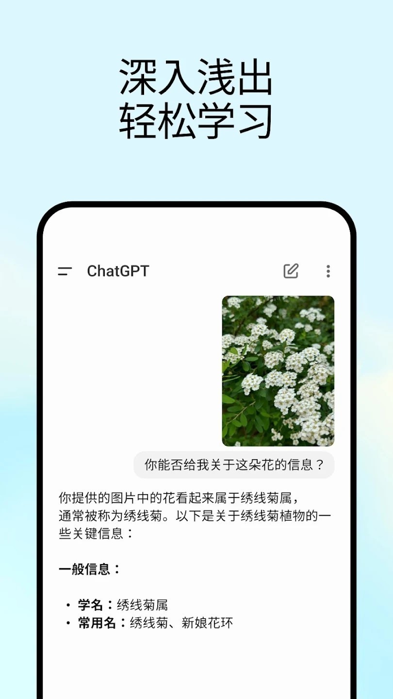 ChatGPT免费版截图2