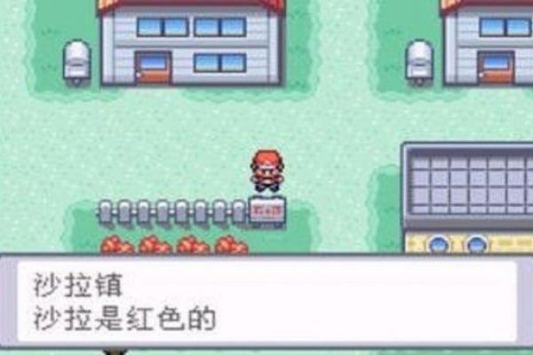 口袋妖怪叶绿386汉化版