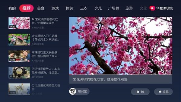 华数鲜时光电视版