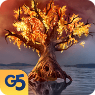 柏树女巫的诅咒