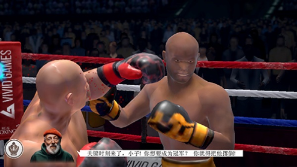 真实拳击2中文版